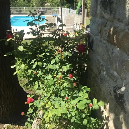 Le Mas De La Cantonade Bed & Breakfast *